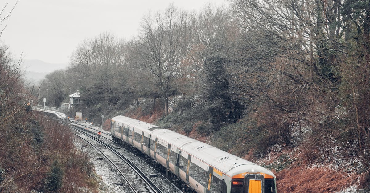 A Guide to Train Travel in Europe: What to Know About Eurail, Scenic Routes, and the Best Countries to Explore by Rail