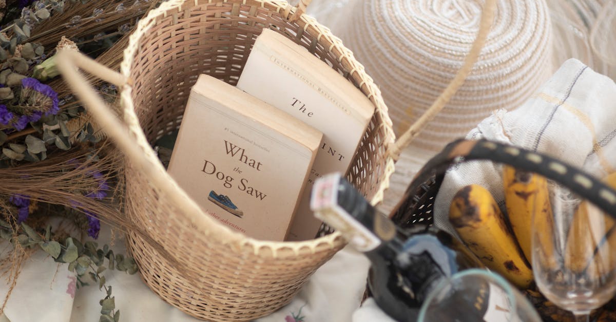 Arvydas Sabonis: Dominance, Injuries, and What the NBA Never Fully Saw