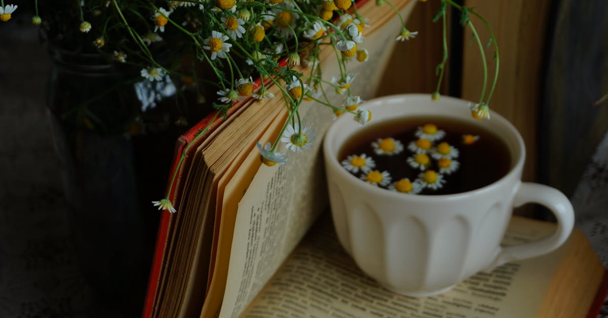 Chamomile’s Quiet Power: Understanding the Calming Chemistry Behind This Ancient Herb