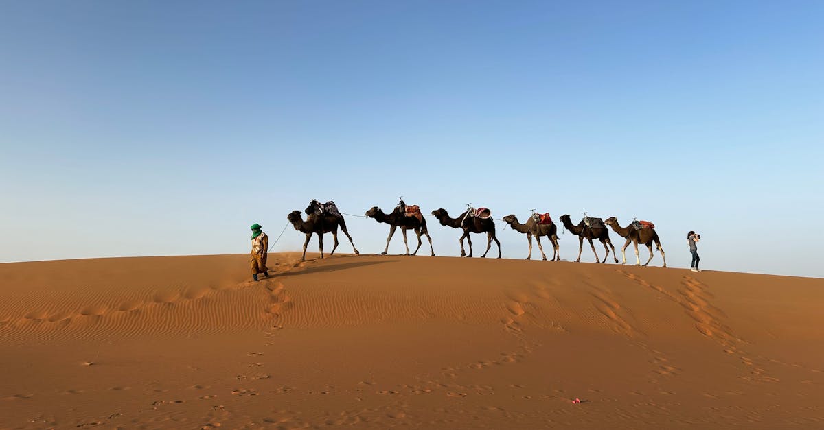 Discovering Morocco: Marrakech Souks, Sahara Camel Treks, and Atlas Mountains