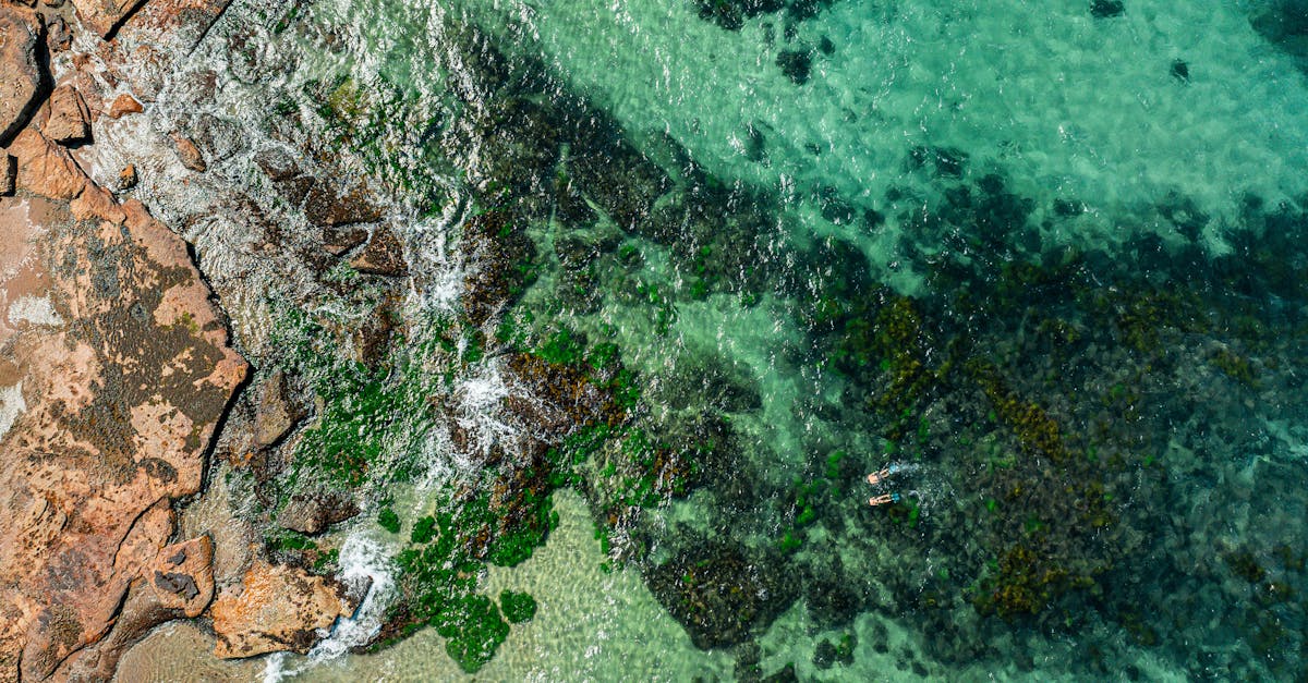 Exploring Australia: Dive Into the Reef, Drive Through the Outback, and Meet the Wildlife That Defines a Continent