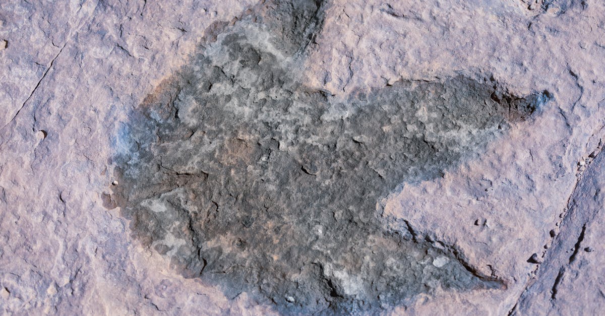 Extinction Events: When Earth Nearly Went Silent