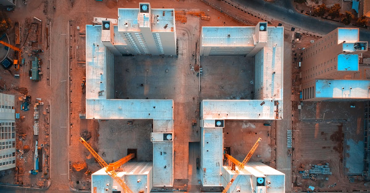 Facundo Campazzo: The Rise of an Undersized Genius from Argentina