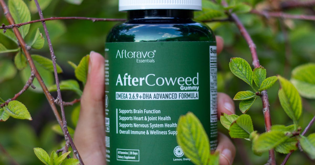 Fiber: The Unsung Nutrient That Transforms Digestion, Blood Sugar, and Gut Health