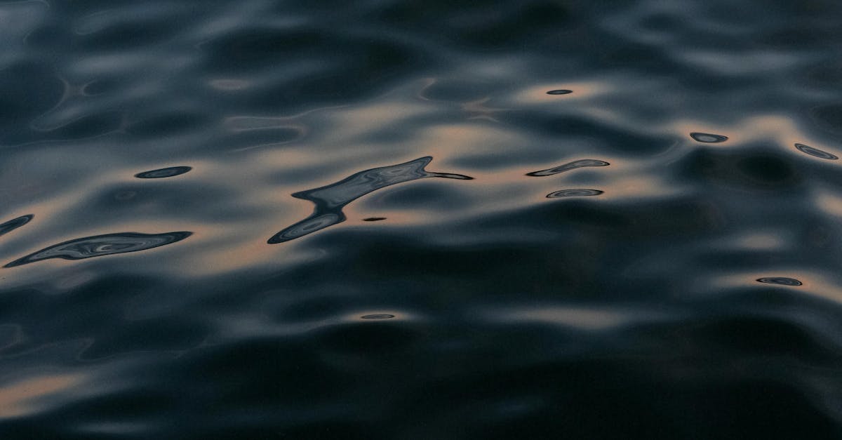 Gravitational Waves: How Ripples in Space-Time Were Finally Detected