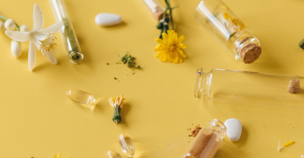 Healing From Nature’s Pantry: 10 Research-Backed Herbal Remedies Worth Knowing