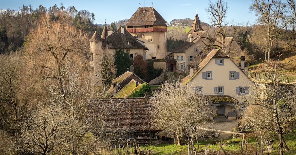 How Switzerland Became the World’s Neutral Power