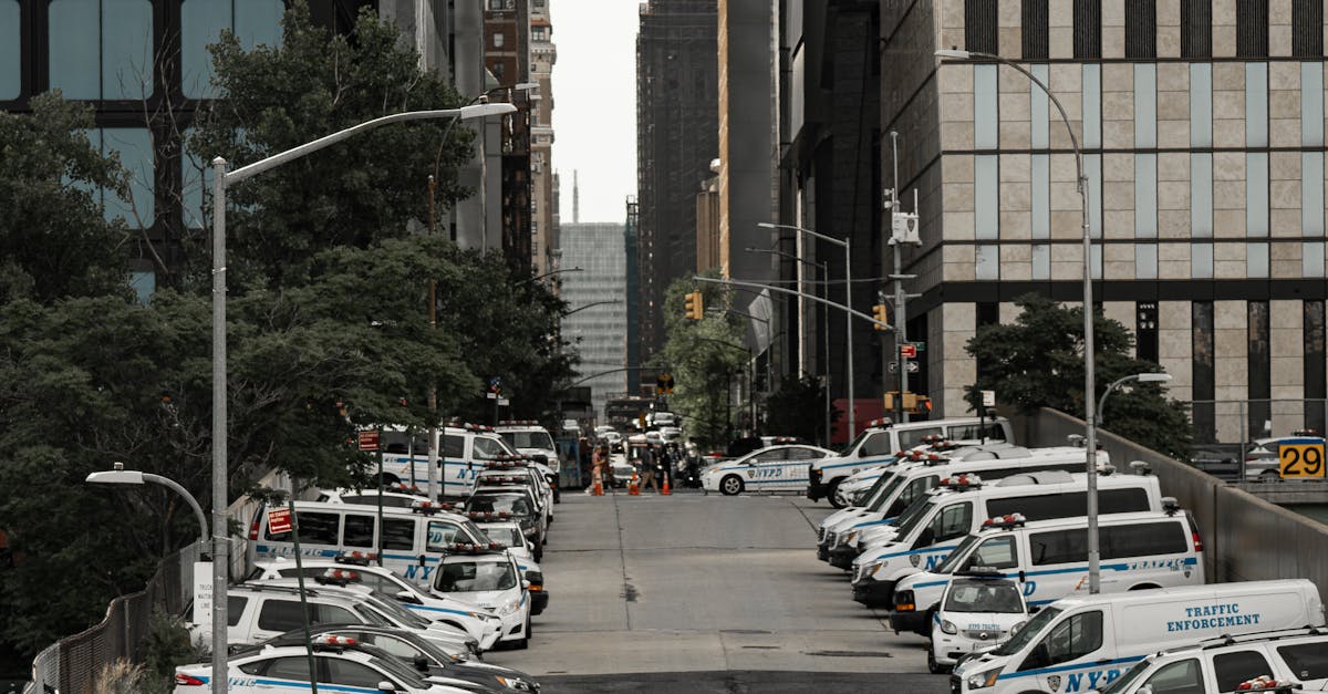 New York City Highlights: Discover the Magic of Times Square, Central Park, and the Statue of Liberty