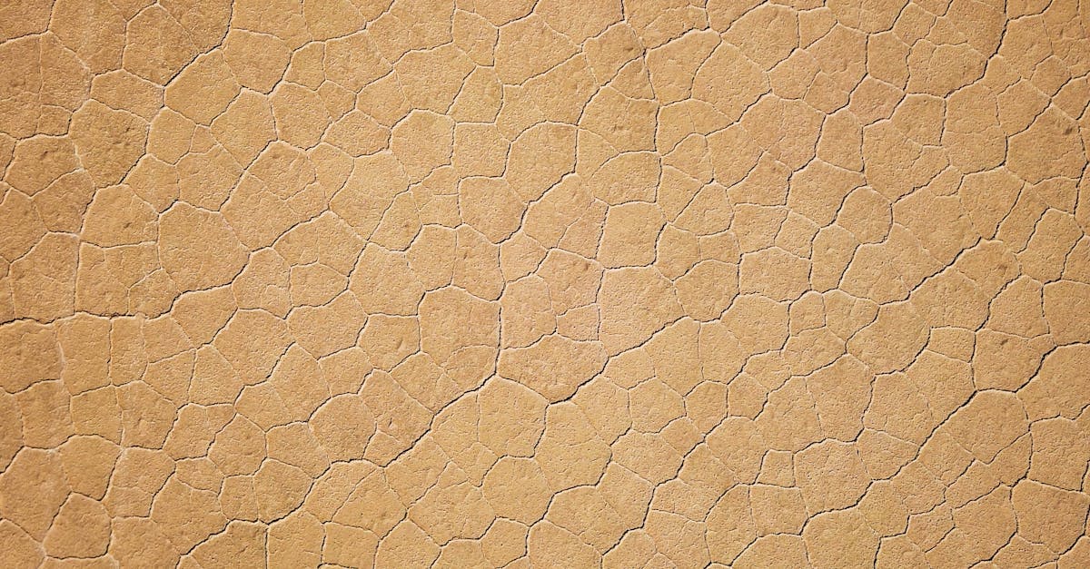 Plate Tectonics: How Moving Continents Explained Earth’s Restless Surface