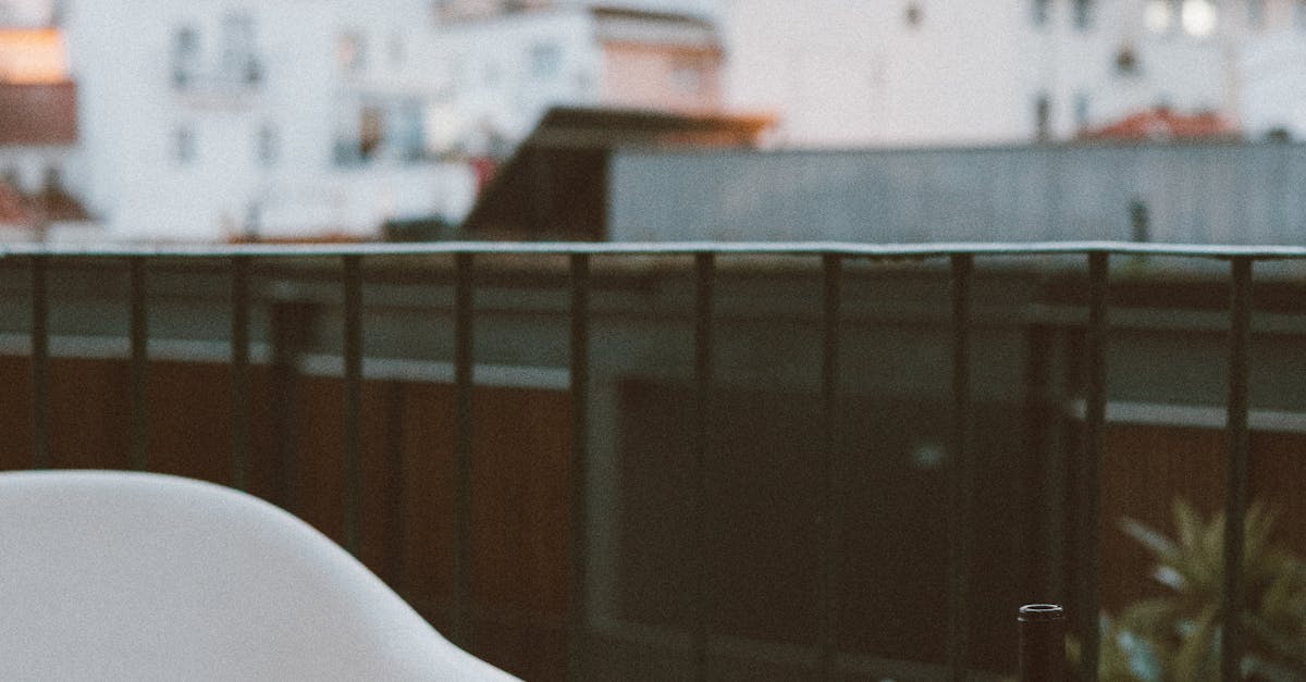 Portugal Beyond Lisbon: Discovering Castles, Cliffs, and the Soul of Porto’s Wine Country