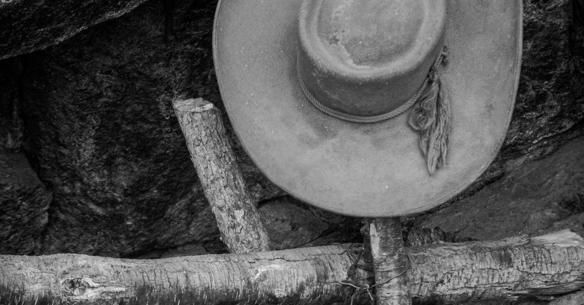 The Country Where Penguins Live in the Desert