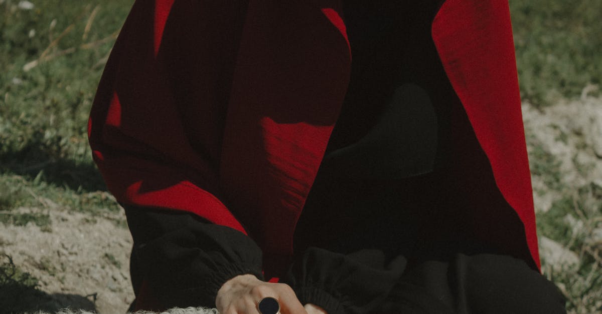 The Country Where Sheep Outnumber People: Why New Zealand Became the Land of 25 Million Sheep