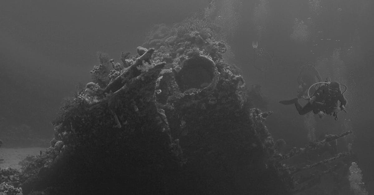 The Discovery of Deep-Sea Life: Thriving Without Sunlight