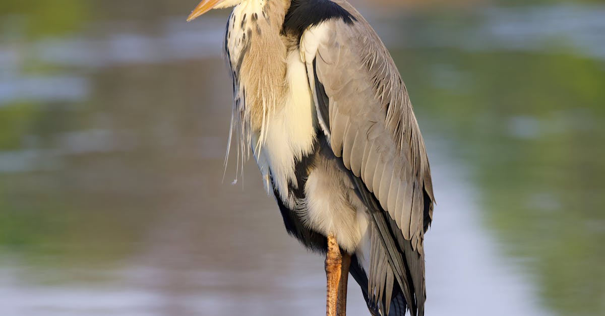 The Green River Murders: How Forensics Finally Unmasked America’s Most Prolific Serial Killer