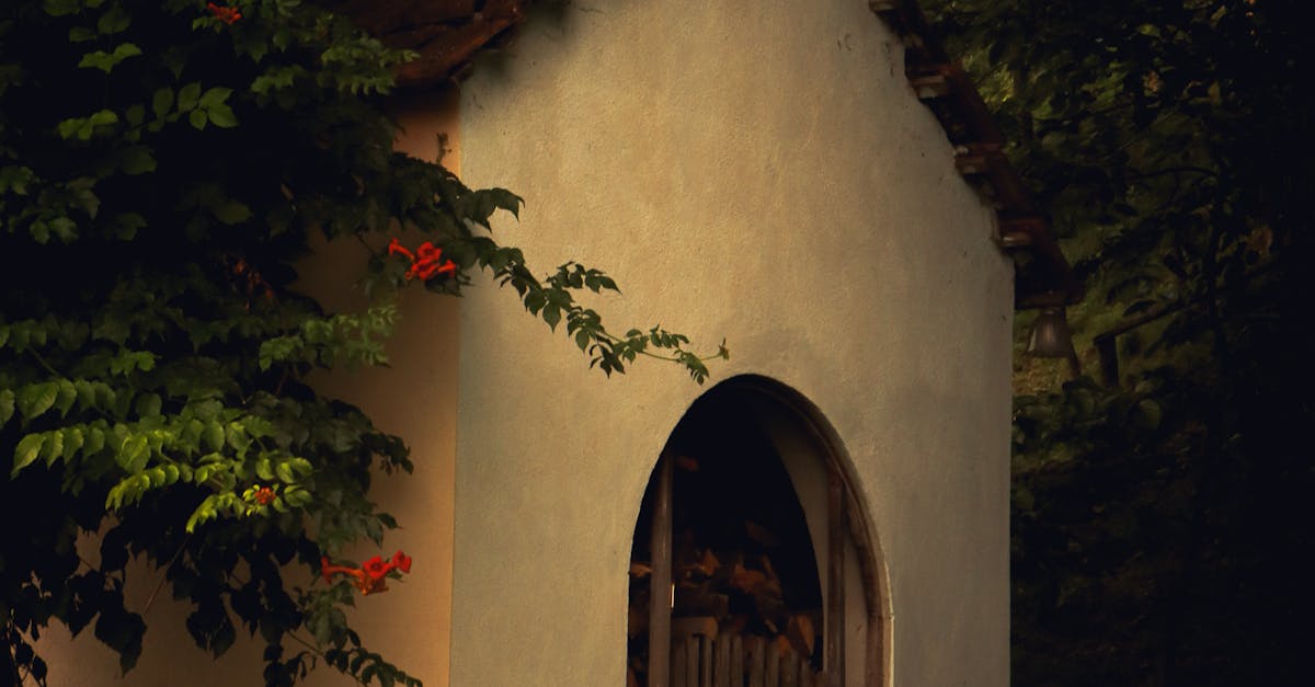 The Hidden Forest Beneath the Sea: Discovering the World of Underwater Woodlands