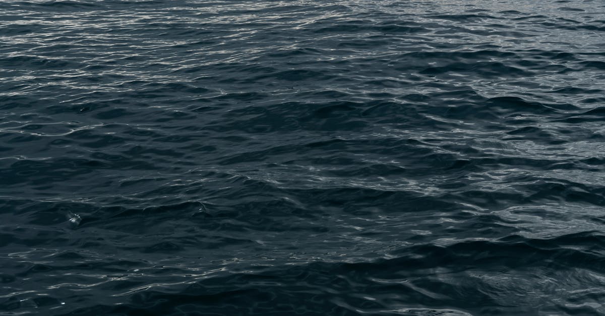 The Lake That Changes Color With the Seasons — Nature’s Palette in Motion