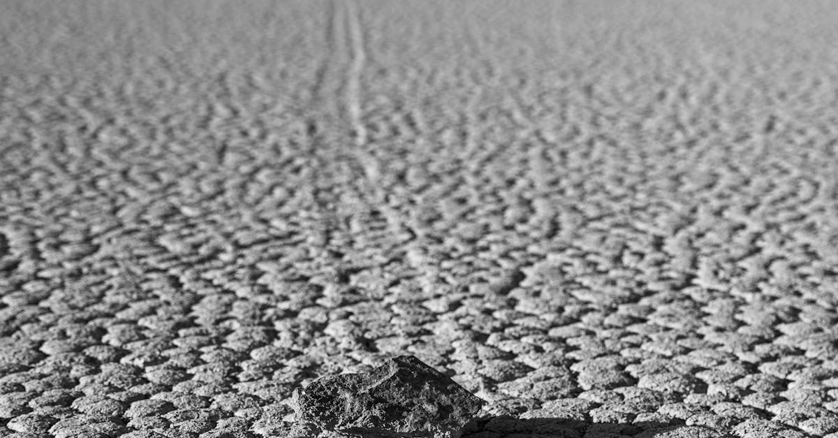 The Mystery of the Moving Stones of Death Valley: Nature’s Slow-Motion Puzzle