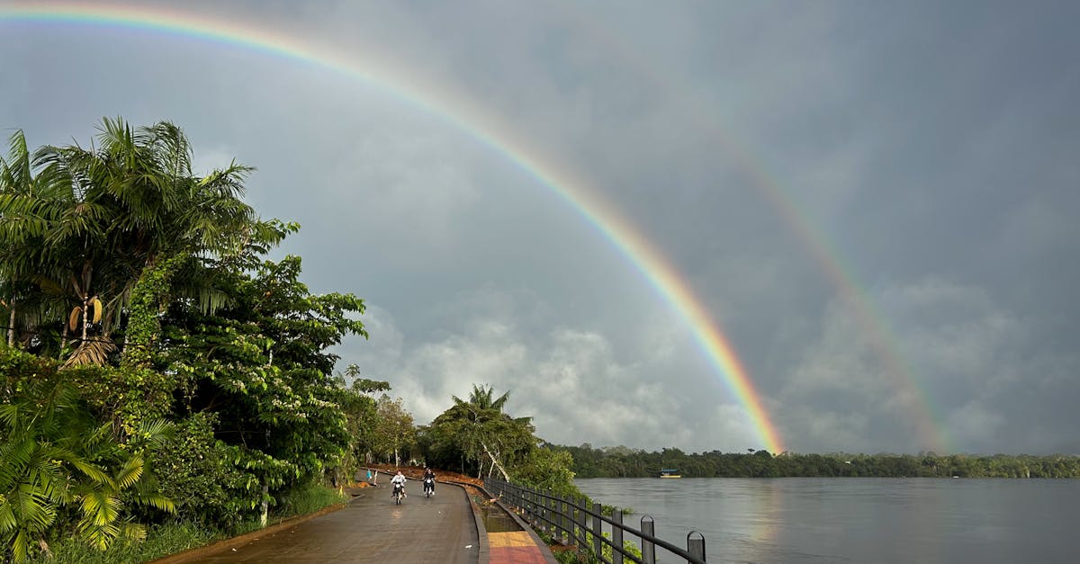 The River That Makes the Rain: How the Amazon Creates Its Own Weather
