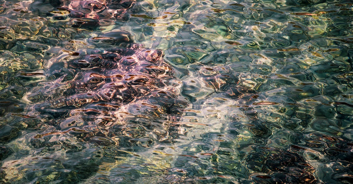 The Rivers That Flow Uphill: Nature’s Optical Illusions That Fool Even Scientists