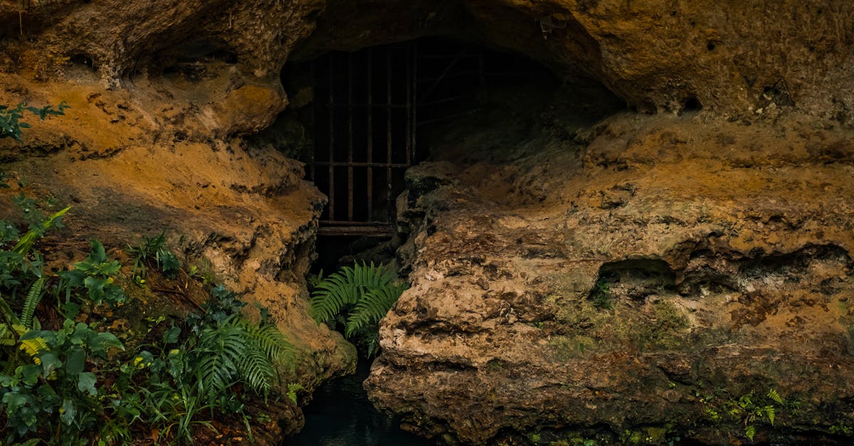 The Secret Underground Rivers of the Yucatán Peninsula: A Hidden World Beneath Your Feet