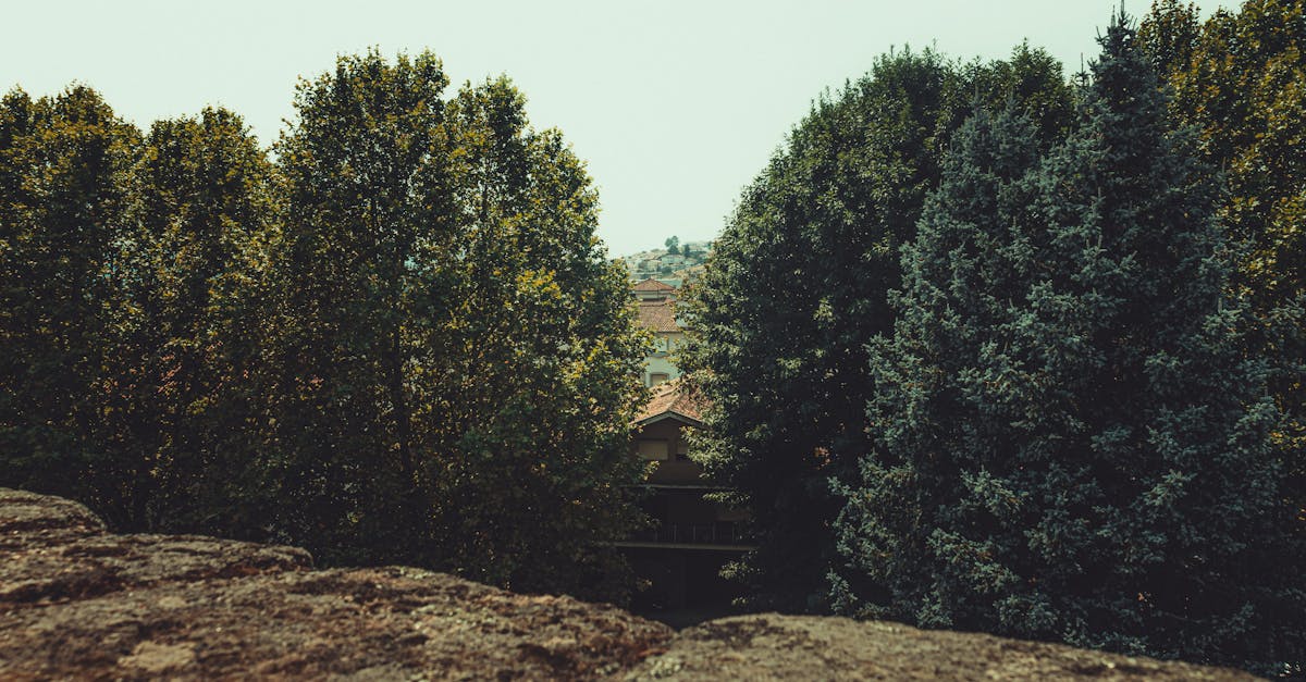 The Town That Runs on Earth’s Hidden Fire