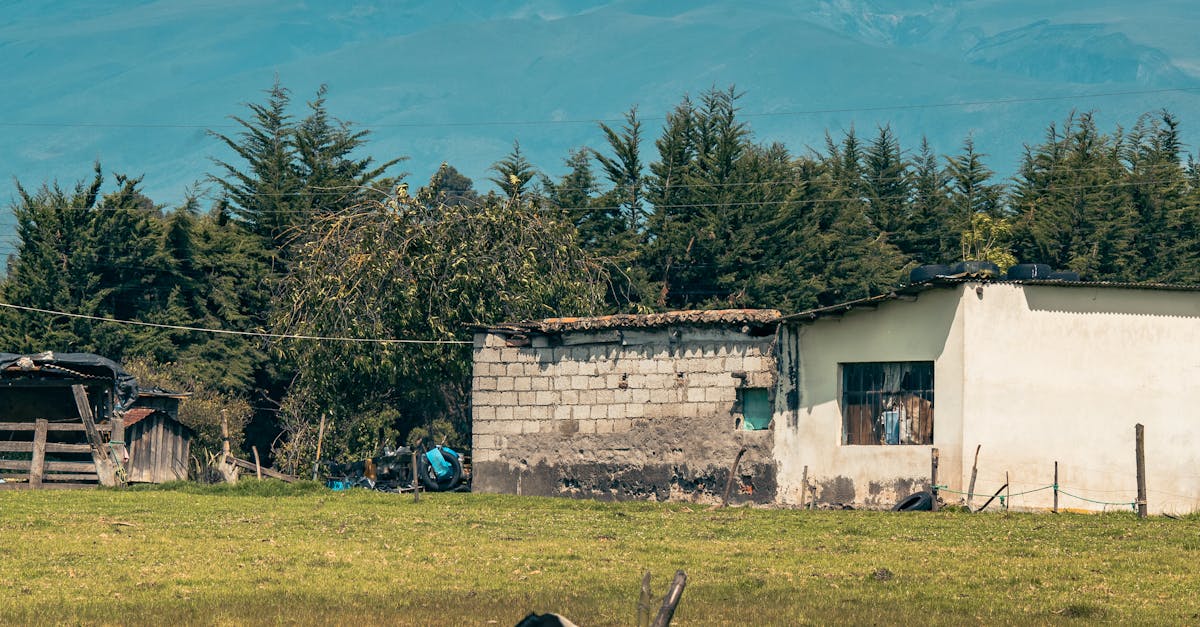 The White House Farm Murders: Reexamining Jeremy Bamber’s Controversial Conviction