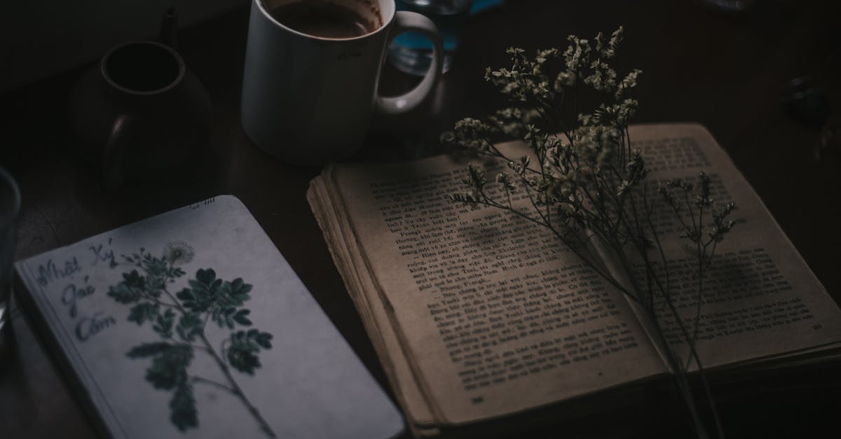 Whispers in the Bavarian Woods: What Really Happened at Hinterkaifeck?